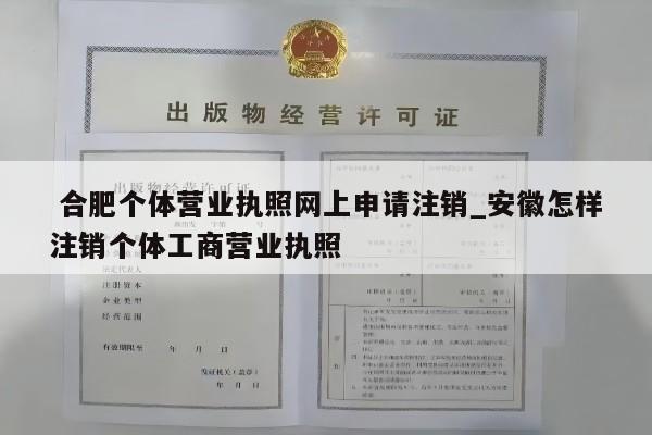  合肥个体营业执照网上申请注销_安徽怎样注销个体工商营业执照