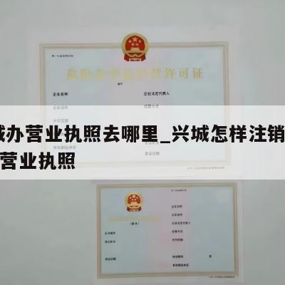  兴城办营业执照去哪里_兴城怎样注销个体工商营业执照