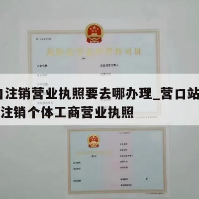  营口注销营业执照要去哪办理_营口站前区怎样注销个体工商营业执照