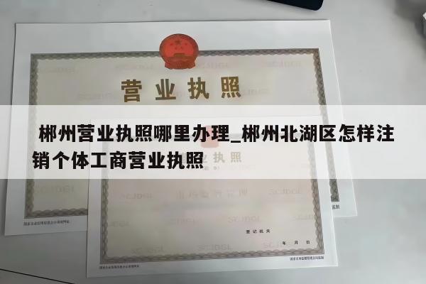  郴州营业执照哪里办理_郴州北湖区怎样注销个体工商营业执照