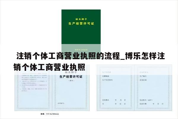  注销个体工商营业执照的流程_博乐怎样注销个体工商营业执照