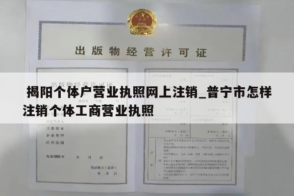  揭阳个体户营业执照网上注销_普宁市怎样注销个体工商营业执照