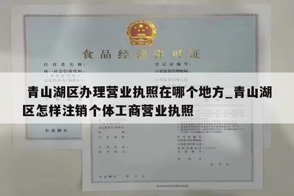 青山湖区办理营业执照在哪个地方_青山湖区怎样注销个体工商营业执照