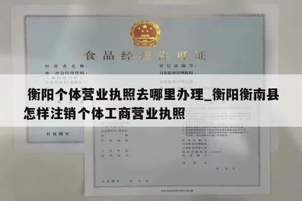  衡阳个体营业执照去哪里办理_衡阳衡南县怎样注销个体工商营业执照
