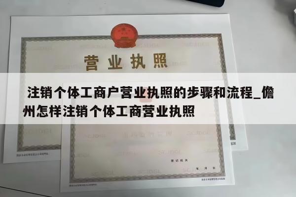  注销个体工商户营业执照的步骤和流程_儋州怎样注销个体工商营业执照