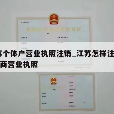  江苏个体户营业执照注销_江苏怎样注销个体工商营业执照