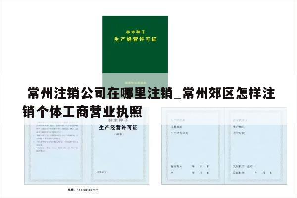  常州注销公司在哪里注销_常州郊区怎样注销个体工商营业执照