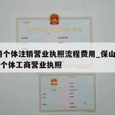  昆明个体注销营业执照流程费用_保山怎样注销个体工商营业执照
