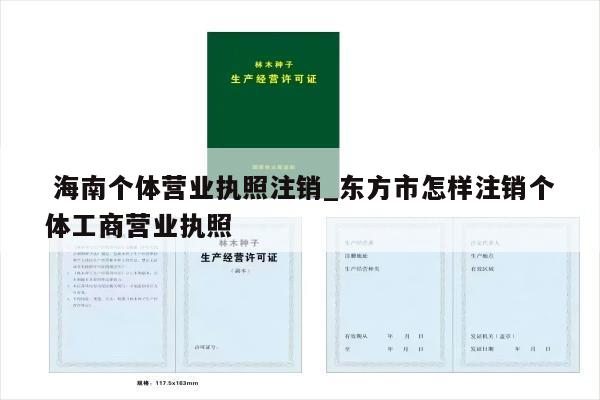  海南个体营业执照注销_东方市怎样注销个体工商营业执照