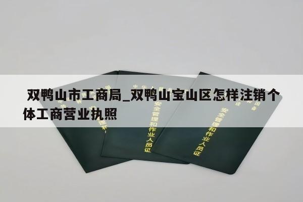  双鸭山市工商局_双鸭山宝山区怎样注销个体工商营业执照