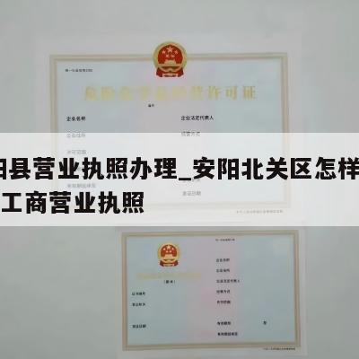  安阳县营业执照办理_安阳北关区怎样注销个体工商营业执照