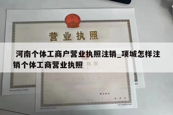  河南个体工商户营业执照注销_项城怎样注销个体工商营业执照