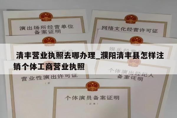  清丰营业执照去哪办理_濮阳清丰县怎样注销个体工商营业执照