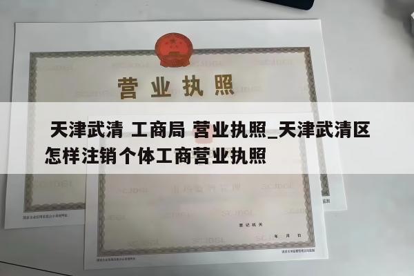  天津武清 工商局 营业执照_天津武清区怎样注销个体工商营业执照
