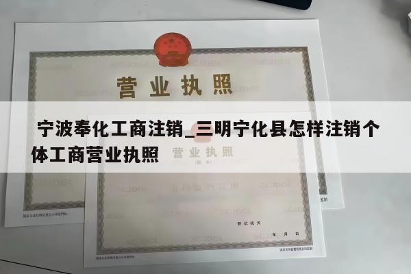  宁波奉化工商注销_三明宁化县怎样注销个体工商营业执照