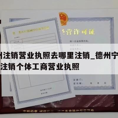  德州注销营业执照去哪里注销_德州宁津县怎样注销个体工商营业执照