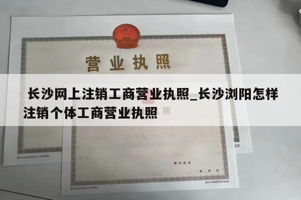  长沙网上注销工商营业执照_长沙浏阳怎样注销个体工商营业执照