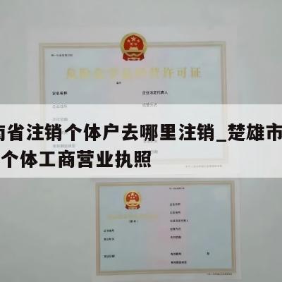  云南省注销个体户去哪里注销_楚雄市怎样注销个体工商营业执照