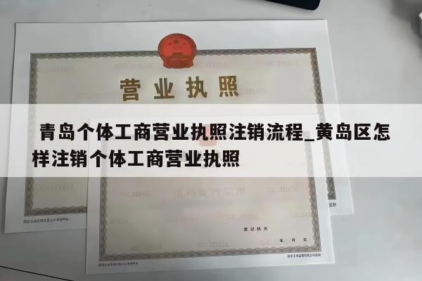  青岛个体工商营业执照注销流程_黄岛区怎样注销个体工商营业执照