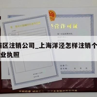  杨浦区注销公司_上海洋泾怎样注销个体工商营业执照