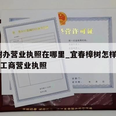  樟树办营业执照在哪里_宜春樟树怎样注销个体工商营业执照
