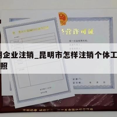  昆明企业注销_昆明市怎样注销个体工商营业执照