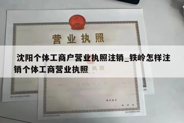  沈阳个体工商户营业执照注销_铁岭怎样注销个体工商营业执照