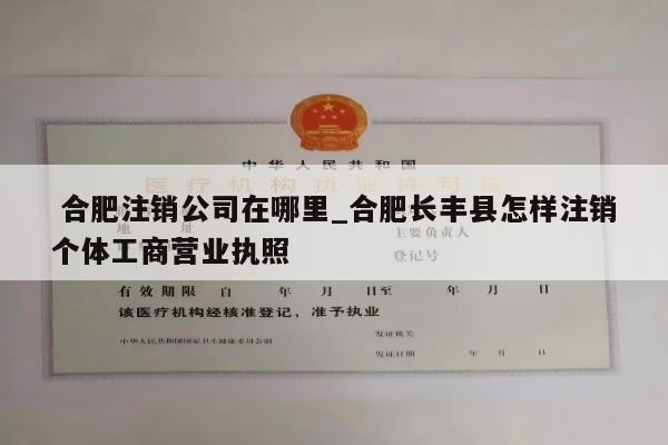  合肥注销公司在哪里_合肥长丰县怎样注销个体工商营业执照