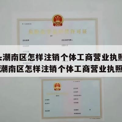  汕头潮南区怎样注销个体工商营业执照呢_汕头潮南区怎样注销个体工商营业执照