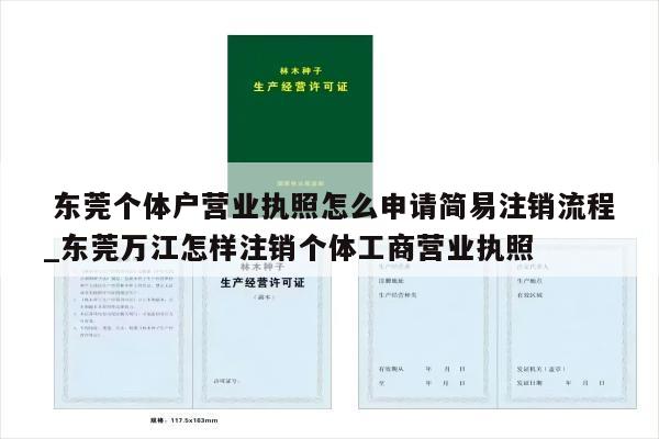  东莞个体户营业执照怎么申请简易注销流程_东莞万江怎样注销个体工商营业执照